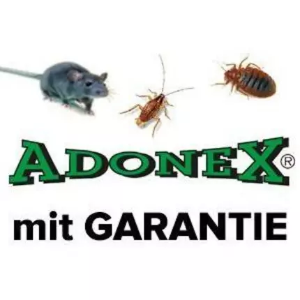 Logotyp från ADONEX GmbH - Schädlingsbekämpfung