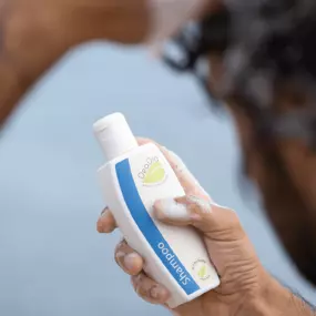 Bild von Gsund & Schön GmbH, Bio-FriseurOase