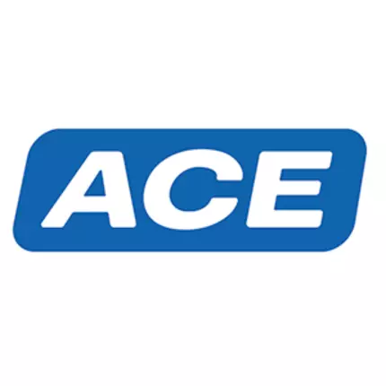 Logo von ACE Stoßdämpfer GmbH