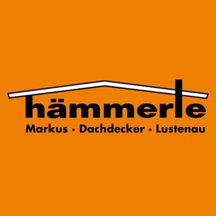 Logo od Hämmerle Markus GmbH & Co KG