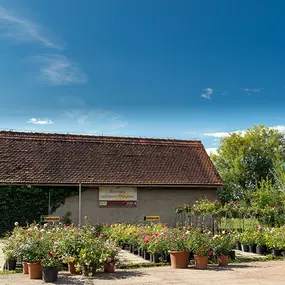 Ecker - Eckhofen Gartengestaltung KG 8074