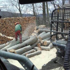 KUBA STEFAN Baumschlägerung u. -bringung in Weidling -Holzbearbeitung