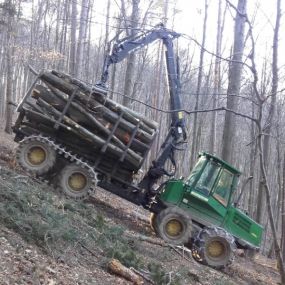 KUBA STEFAN Baumschlägerung u. -bringung in Weidling - Holztransport