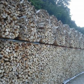 KUBA STEFAN Baumschlägerung u. -bringung in Weidling - Holzlagerung