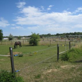 ReitClub Donaustadt - Barbara Zehetgruber