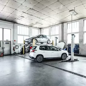 Bild von Autohaus Wilhelm Scheidl Gesellschaft mbH