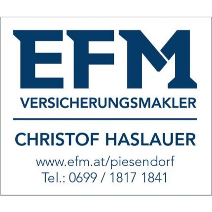 Logotyp från EFM Piesendorf