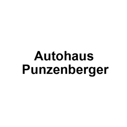 Logo from Autohaus Punzenberger GmbH Seat-Cupra, VW, Audi