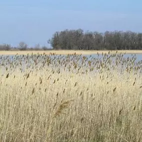 Schifffahrt Knoll 7141 Podersdorf am See