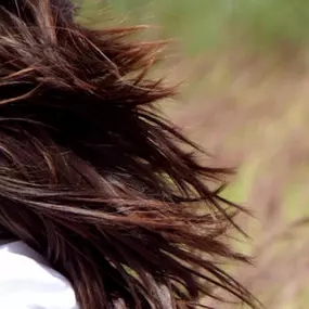 Bild von Bständig Paul GesmbH