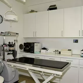 Bild von Dr. Josefine Zisser Kleintierpraxis