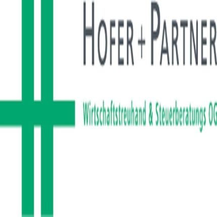 Logótipo de Hofer & Partner Wirtschaftstreuhand u Steuerberatungs OG