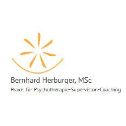 Logo van Herburger Bernhard, MSc
