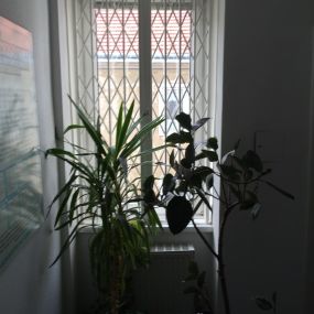 Scherengitter Innenansicht Alt-Wienerfenster