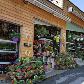 Blumen Renate Petrides 1180 Wien Außenansicht