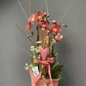 Bild von Schießling Blumenhaus