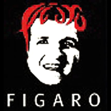 Logo von FIGARO H Sterniczky