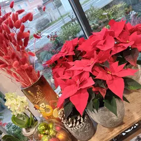 blumenstudio in 8077 Gössendorf