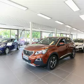 Bild von Autohaus Fior GmbH