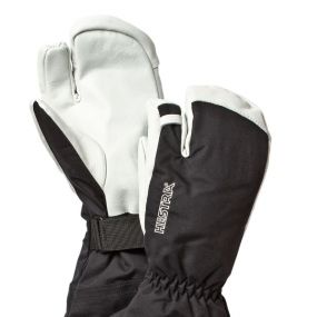 Hestra gloves from Sweden