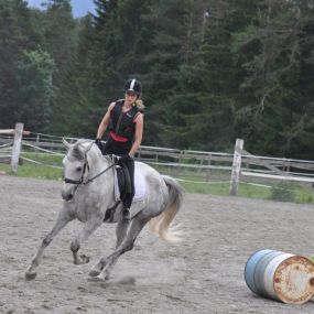 Bild von Reitstall Pegasus Gschwent Nina Falkner