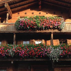 Ferienhaus Leirer in Alpbach