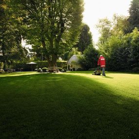 Grünflächenbetreuung – liebevolle Gartenarbeiten von waschechten Gärtnern!