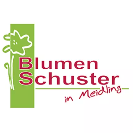 Logótipo de Blumen Schuster in Meidling - Christine Schuster