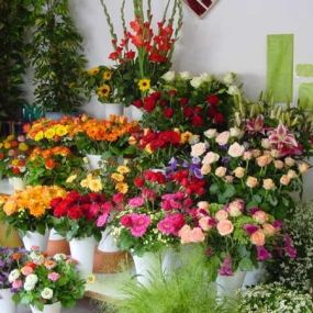 Gartenbau – Blumen Robert Reißer