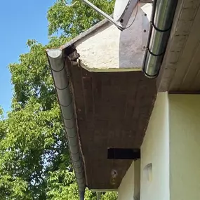 Bild von Walter Bendl