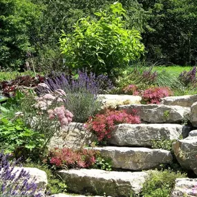 Walter Endl in 3542 Gföhl - Gartengestaltung