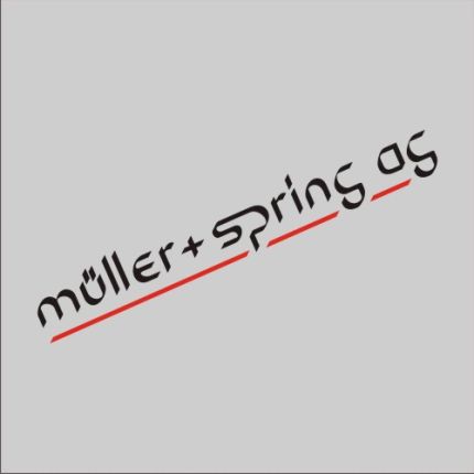 Logo from Müller + Spring AG