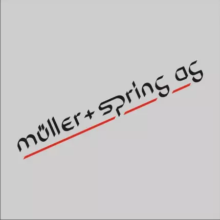 Logo de Müller + Spring AG