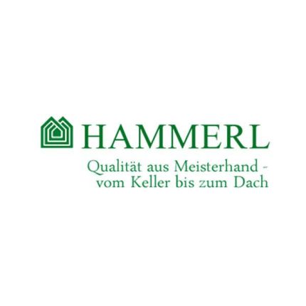 Logo von Hammerl Kurt Ing GesmbH
