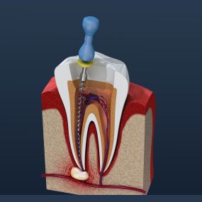 Bild von Clinique Dentaire de Meyrin