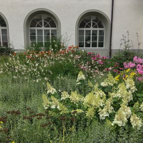 Bild von Zimmermann Flaach AG Blumen & Gartenbau