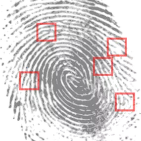 Bild von Detektivbüro für Wirtschaft & Kriminalistik