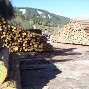 Holz-Steixner Sägewerk