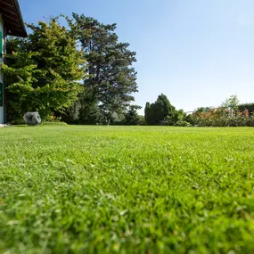 Bild von Brenner AG Gartenbau