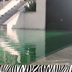 Bild von Zebra AG Garten & Pool