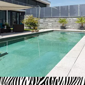 Bild von Zebra AG Garten & Pool