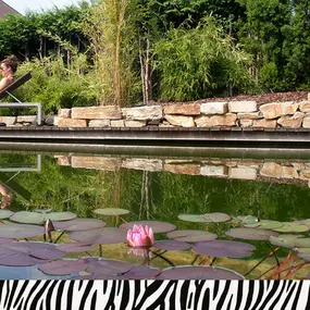 Bild von Zebra AG Garten & Pool