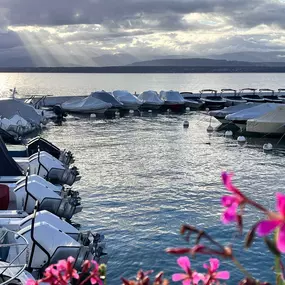 Bild von Port Vidoli SA