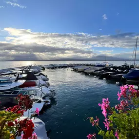 Bild von Port Vidoli SA