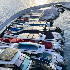 Bild von Port Vidoli SA