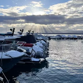 Bild von Port Vidoli SA