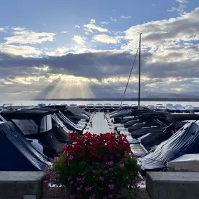 Bild von Port Vidoli SA