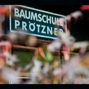 Baumschule & Gartengestaltung Prötzner