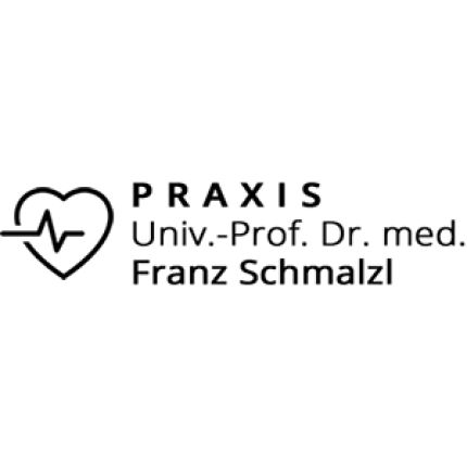 Logotyp från Univ. Prof. Dr. Franz Schmalzl