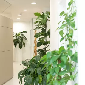 Gesundheitszentrum Arbor Vitae in 8063 Eggersdorf bei Graz  - Innenansicht